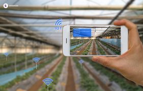 iot in smart agriculture