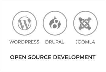 Open Source Development